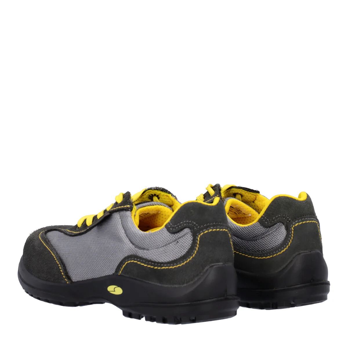 CAPRI S1P SRC - Image 4